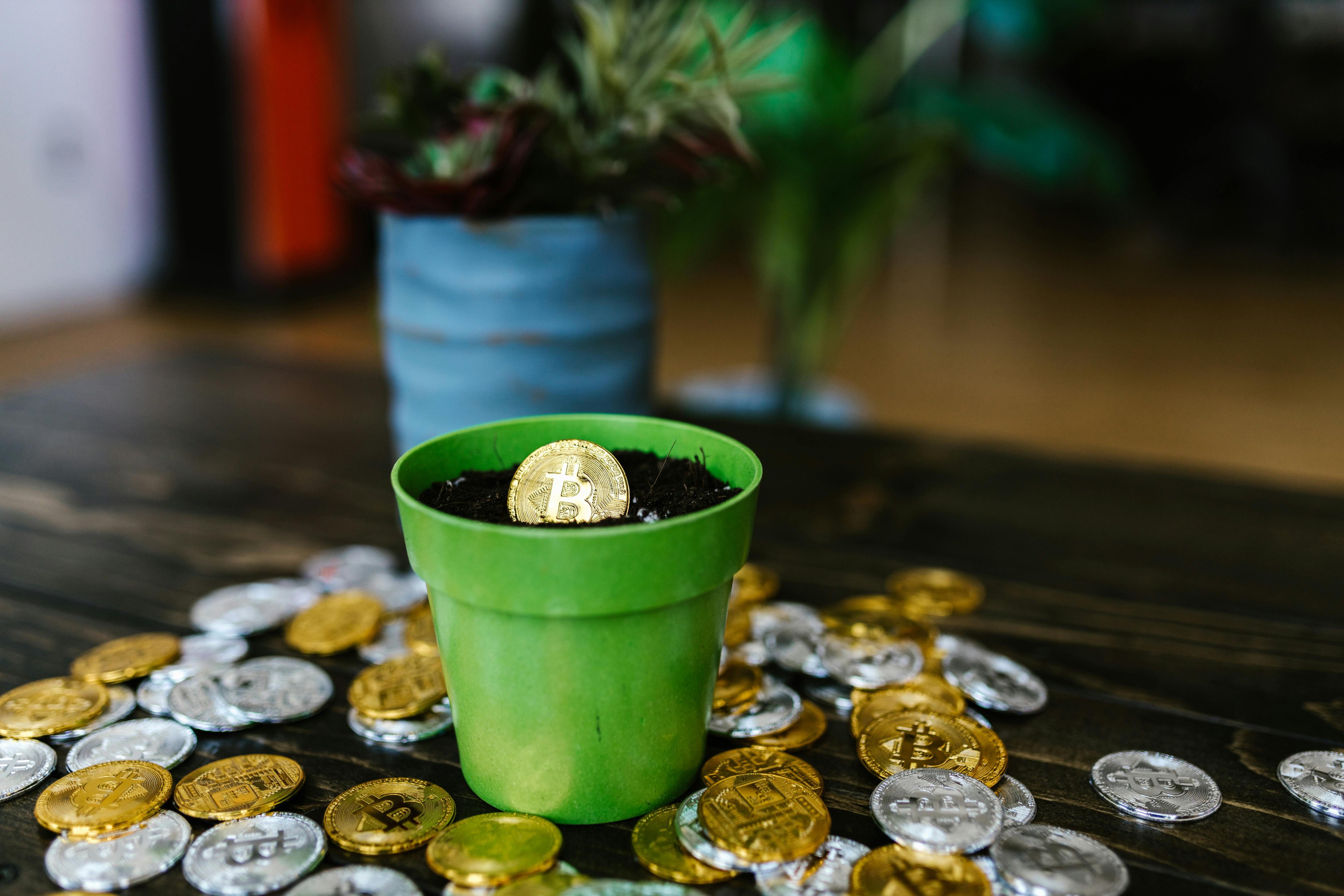 Kripto Para Piyasası: Güncel Gelişmeler